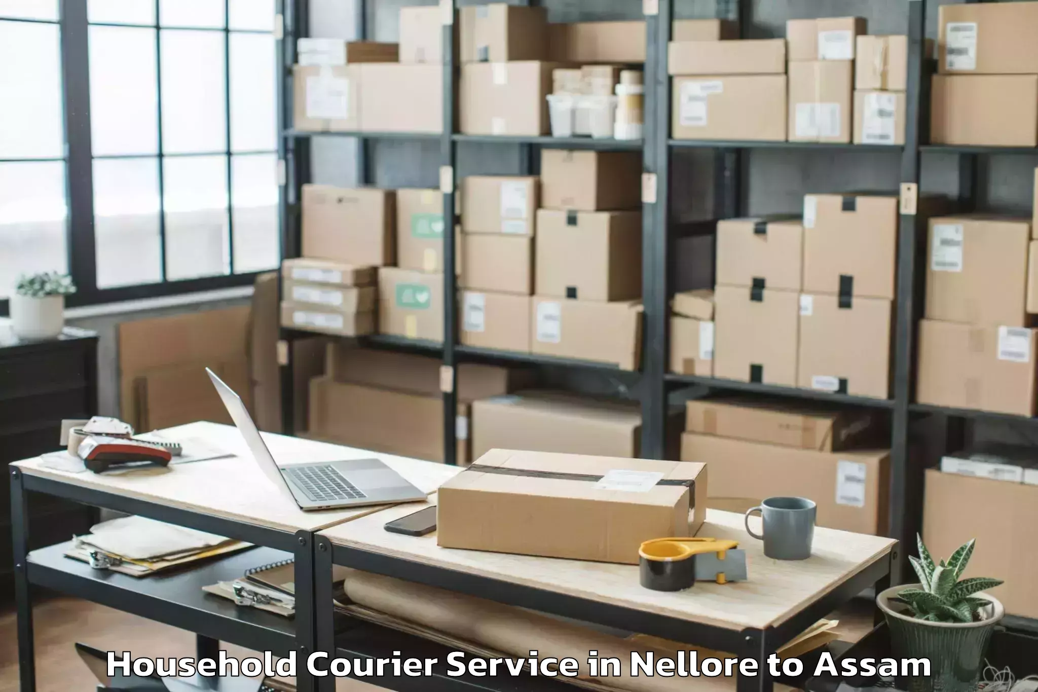 Book Your Nellore to Sivasagar Household Courier Today